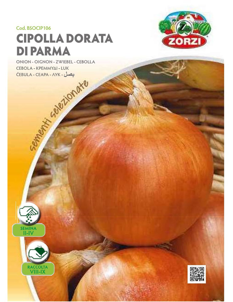 SEMI CIPOLLA DORATA DI PARMA ZORZI