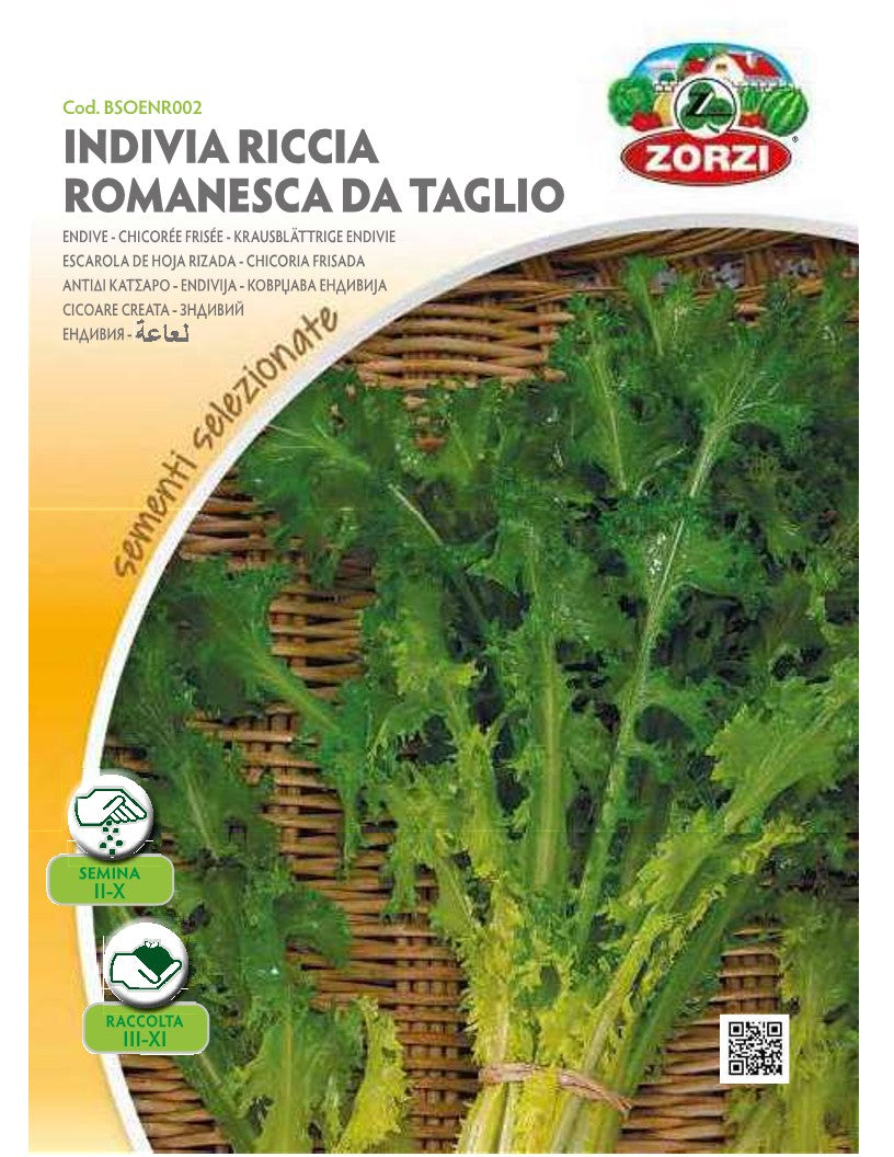 SEMI INDIVIA RICCIA ROMANESCA DA TAGLIA ZORZI