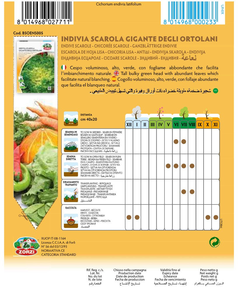 SEMI INDIVIA SCAROLA GIGANTE DEGLI ORTOLANI ZORZI