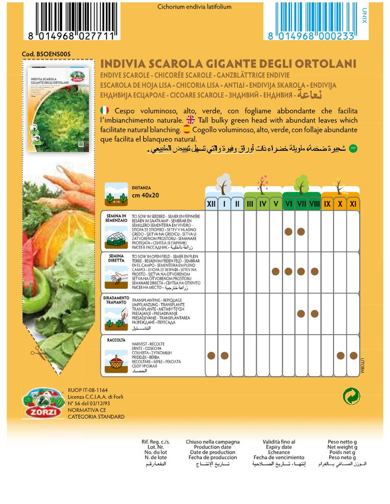 SEMI INDIVIA SCAROLA GIGANTE DEGLI ORTOLANI ZORZI