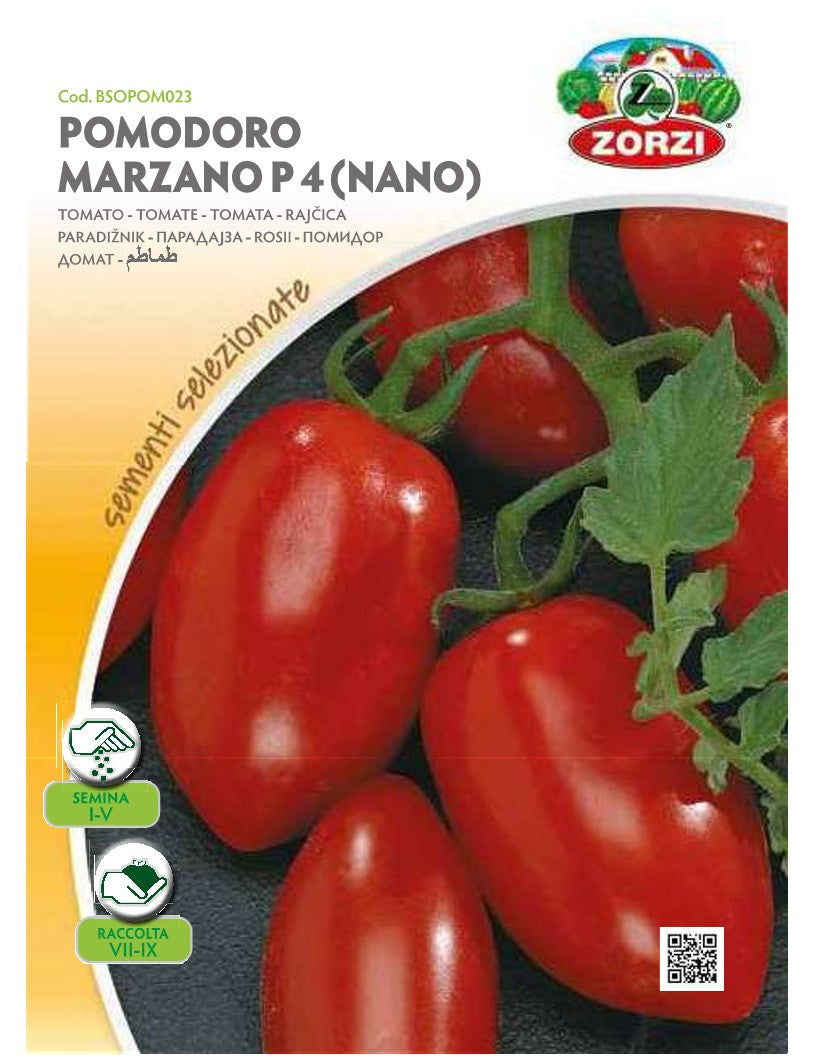 SEMI POMODORO SAN MARZANO NANO P4 ZORZI
