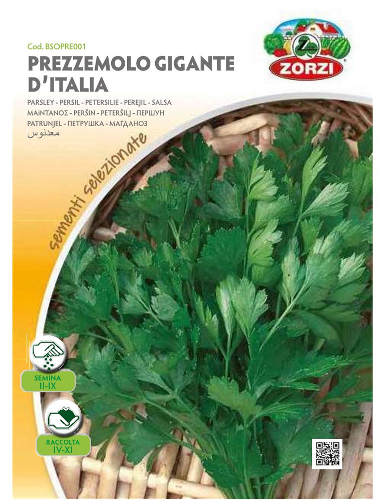 SEMI PREZZEMOLO GIGANTE D'ITALIA ZORZI