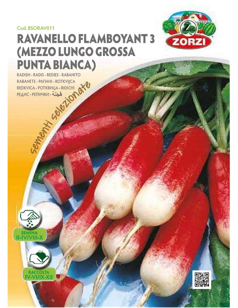 SEMI RAVANELLO FLAMBOYANT 3 ZORZI