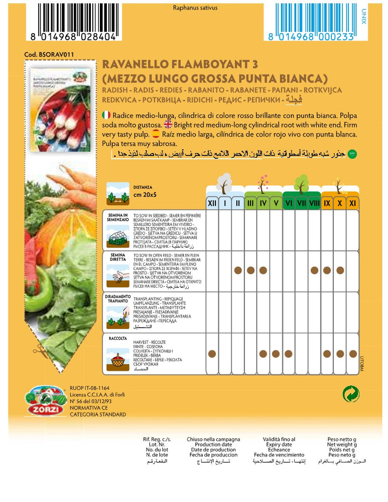 SEMI RAVANELLO FLAMBOYANT 3 ZORZI