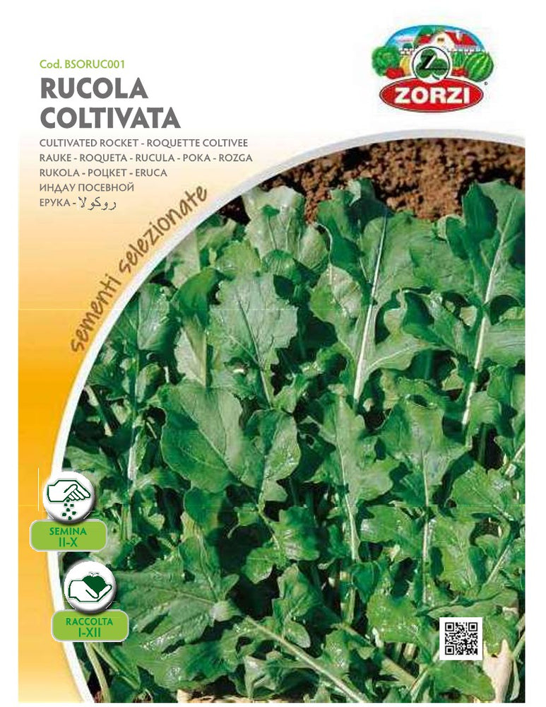 SEMI RUCOLA COLTIVATA ZORZI