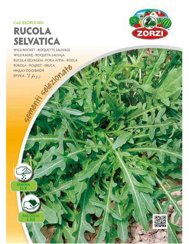 SEMI RUCOLA SELVATICA ZORZI