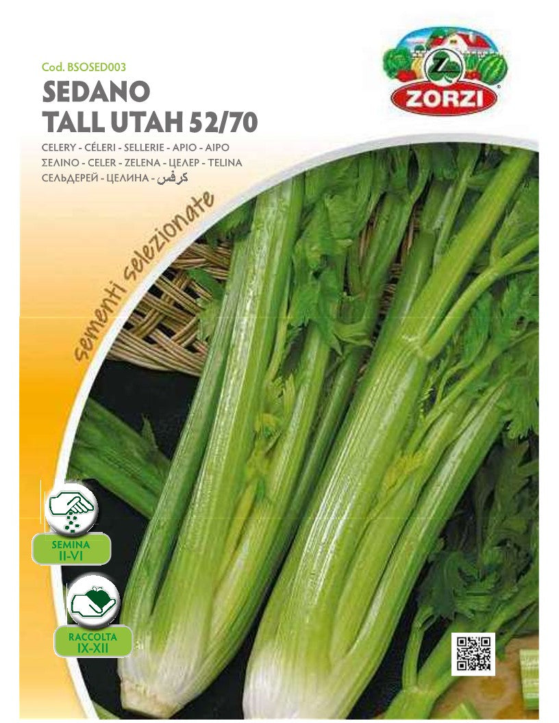 SEMI SEDANO TALL UTAH 52/70 ZORZI