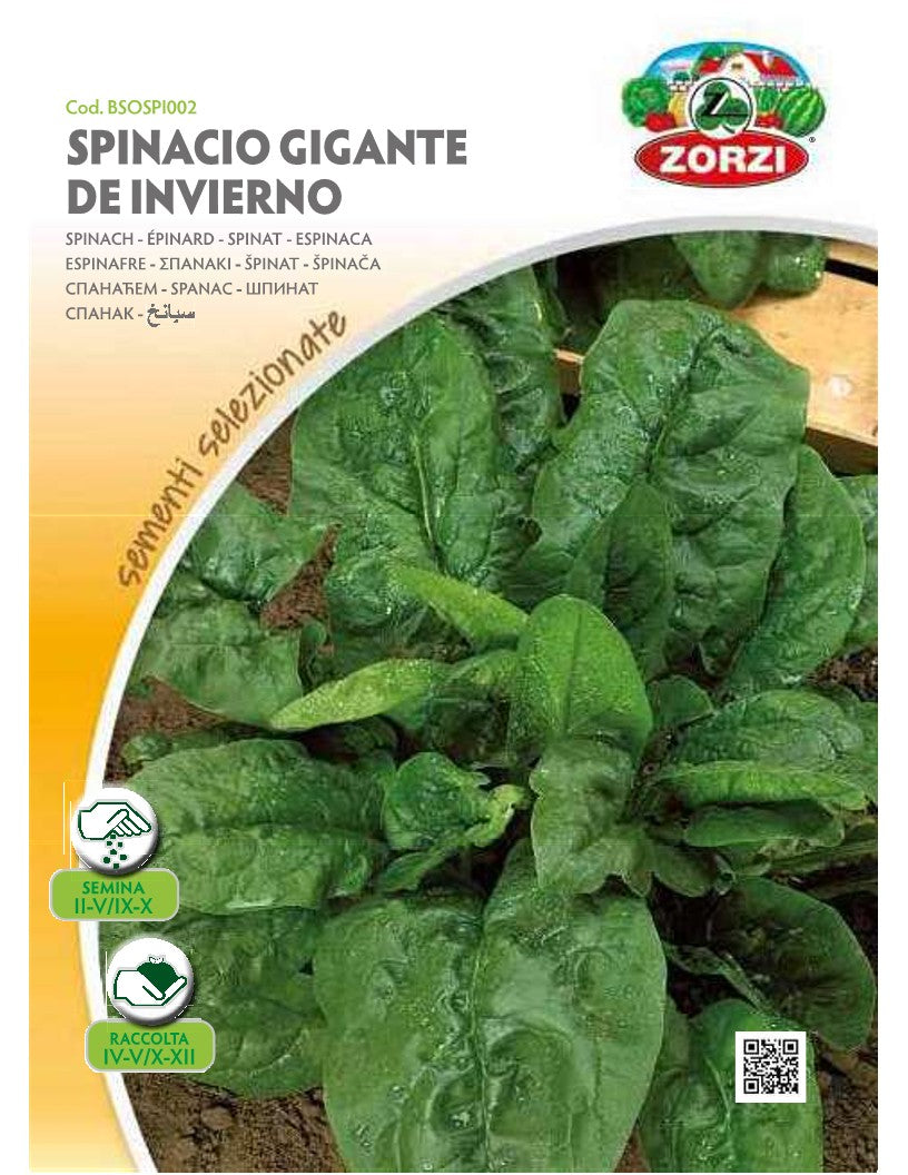 SEMI SPINACIO GIGANTE D'INVERNO ZORZI