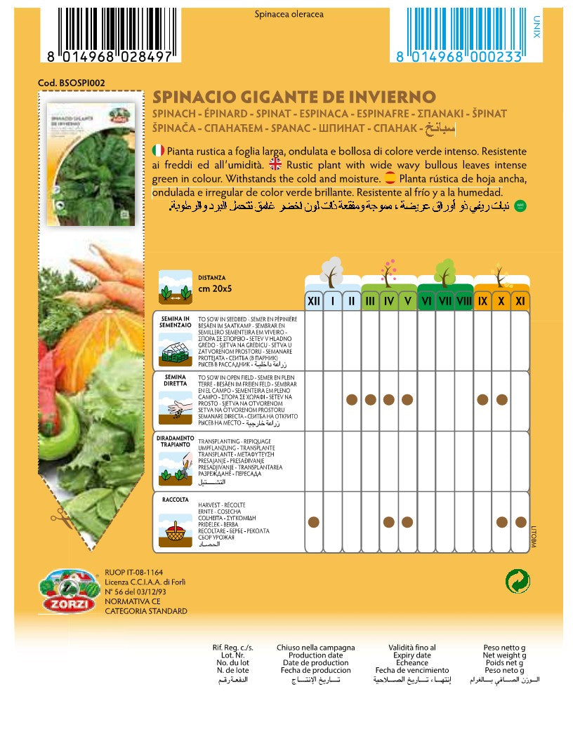 SEMI SPINACIO GIGANTE D'INVERNO ZORZI