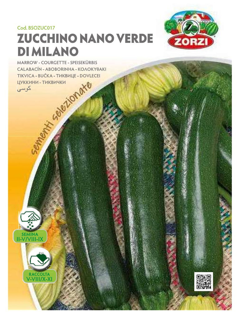 SEMI ZUCCHINO NANO VERDE DI MILANO ZORZI