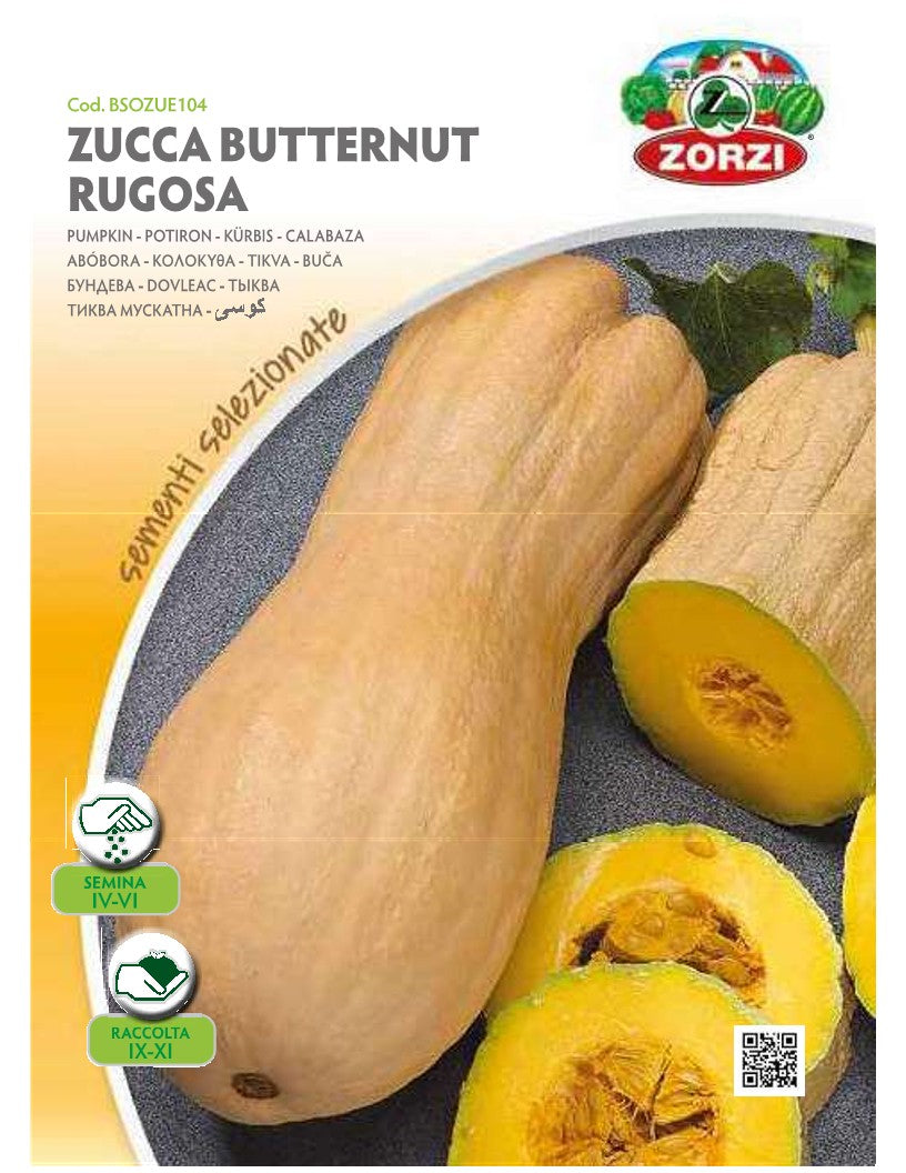 SEMI ZUCCA BUTTERNUT RUGOSA ZORZI