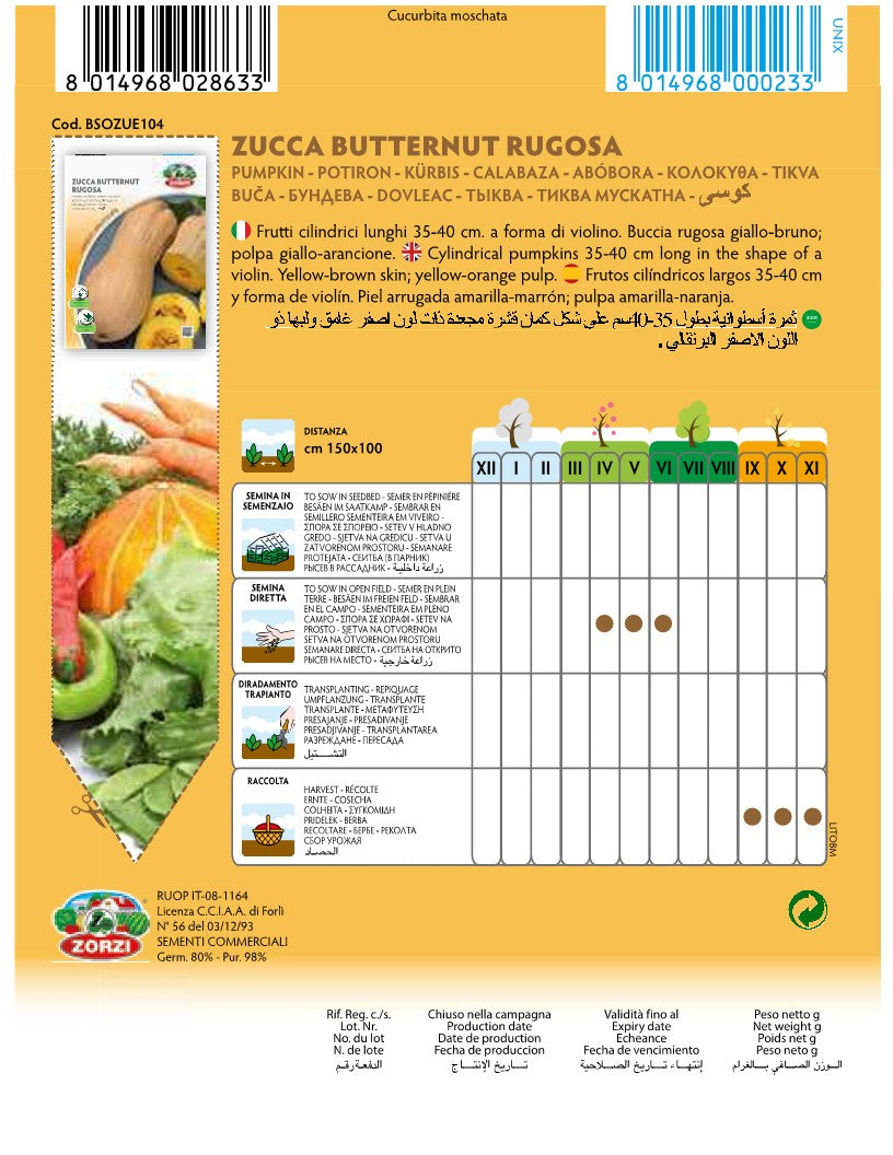 SEMI ZUCCA BUTTERNUT RUGOSA ZORZI