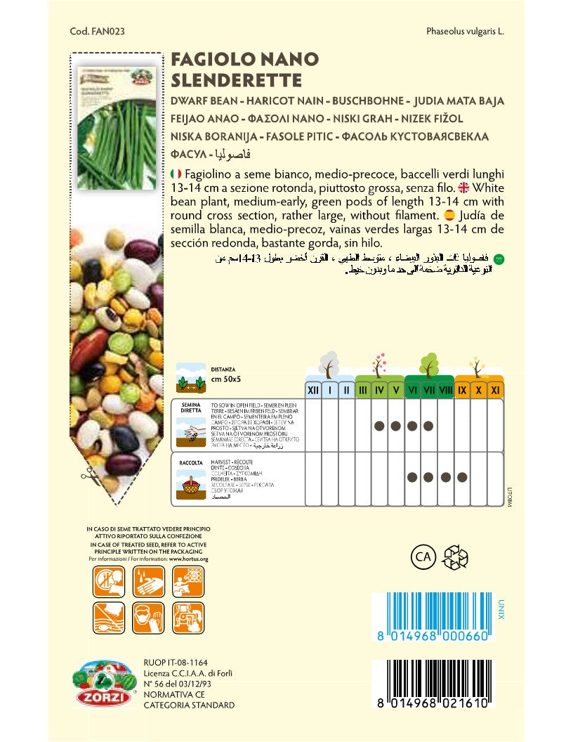 SEMI FAGIOLO NANO SPLENDERETTE DA 250 GR. ZORZI