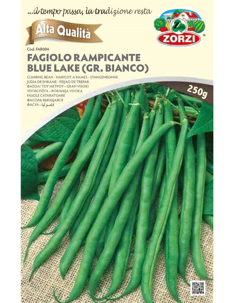 SEMI FAGIOLO RAMPICANTE BLUE LAKE (BIANCO GRANO) ZORZI GR.65
