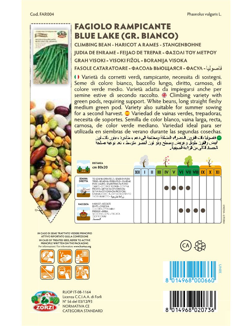 SEMI FAGIOLO RAMPICANTE BLUE LAKE (BIANCO GRANO) ZORZI GR.65