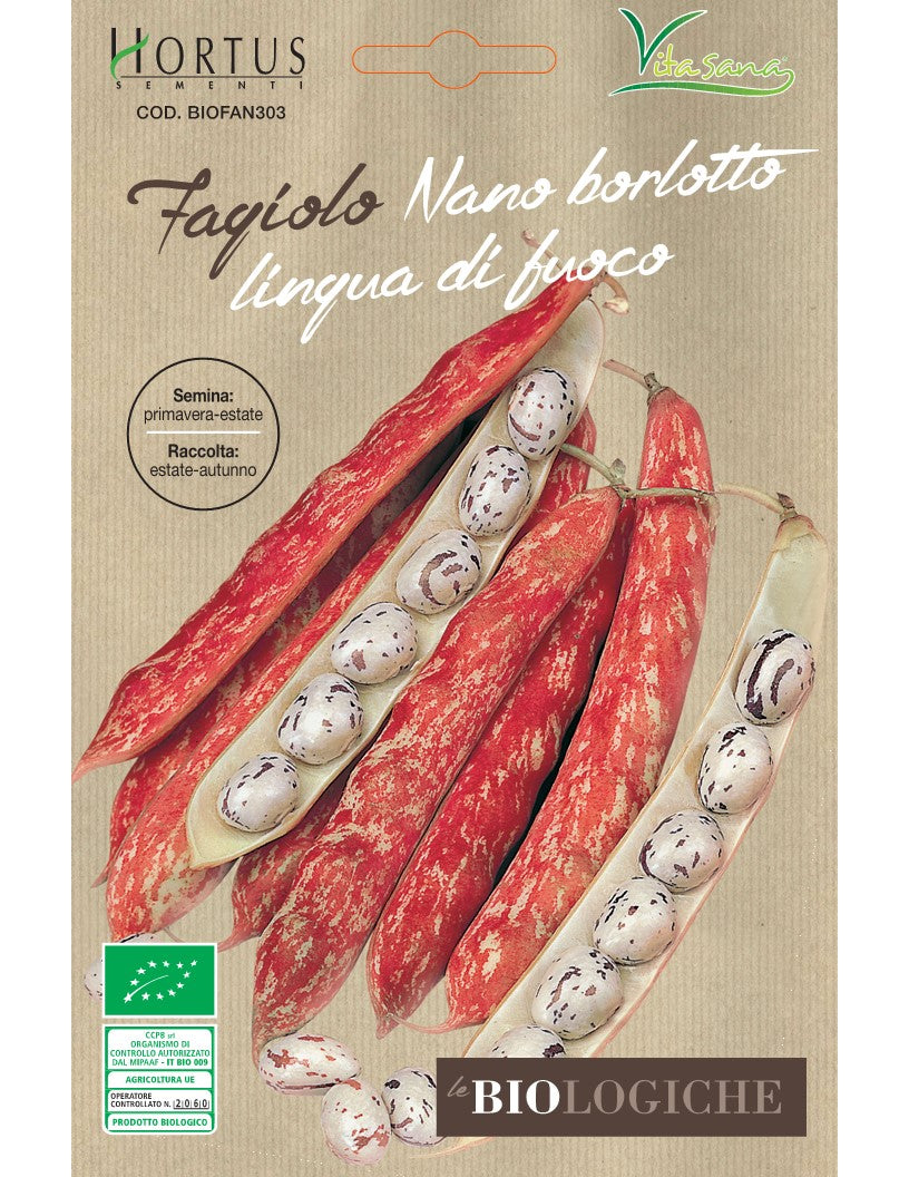 SEMI FAGIOLO BORLOTTO LINGUIA DI FUOCO NANO