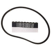 Cinghia dentellata 17x914 per motozappa BL6000 Benassi