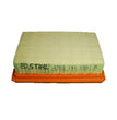 Filtro aria 42031410301