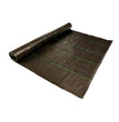 TELO PACCIAMATURA  2X100M BURG