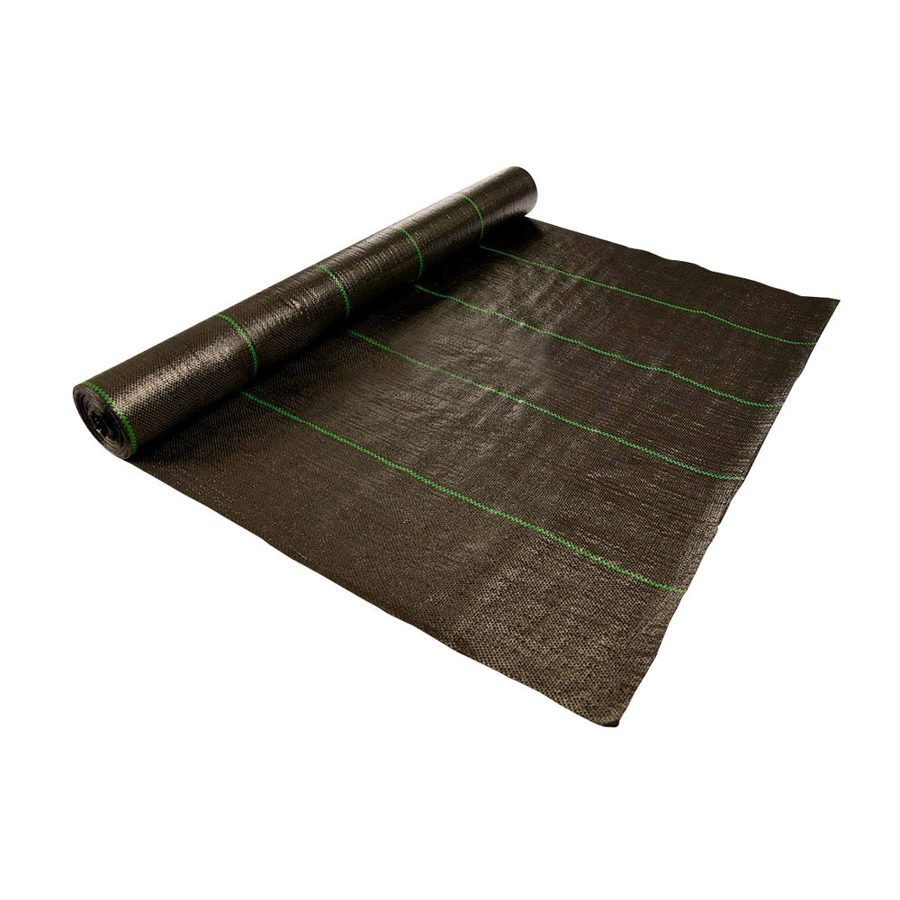 TELO PACCIAMATURA  2X100M BURG