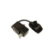 MODULO ACCESNIONE