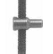 Tendicatena 