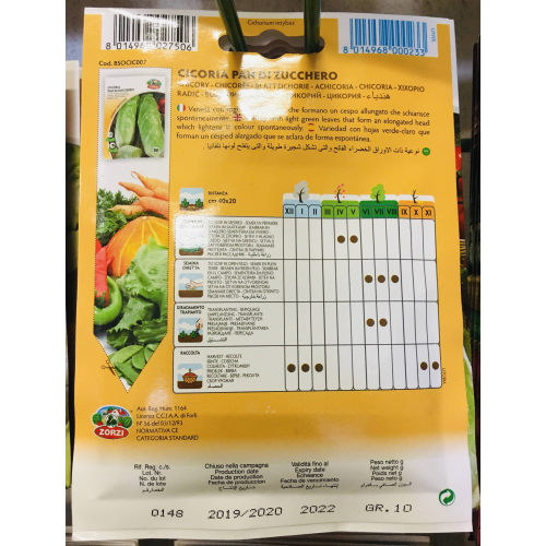 CICORIA PAN DI ZUCCHERO ZORZI