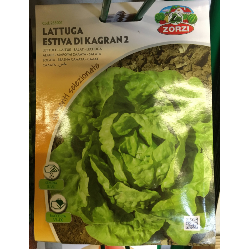 SEMI LATTUGA ESTIVA DI KAGRAN 2 ZORZI