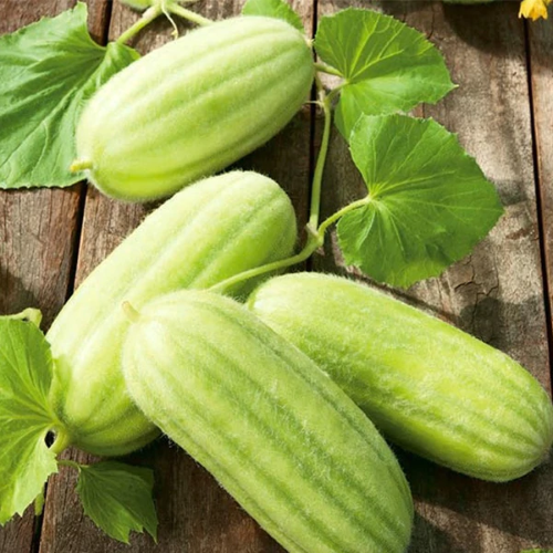 CAROSELLO MEZZO LUNGO DI POLIGNANO