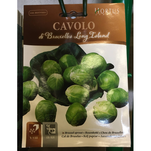 SEMI CAVOLO DI BRUXELLES LONG ISLAND BUSTINA ZORZI