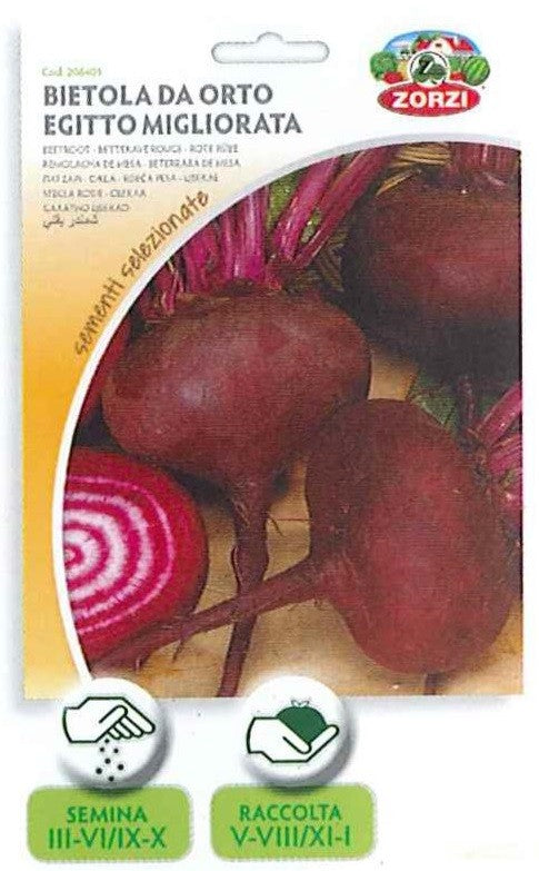 SEMI BIETOLA DA ORTO EGITTO MIGLIORATA