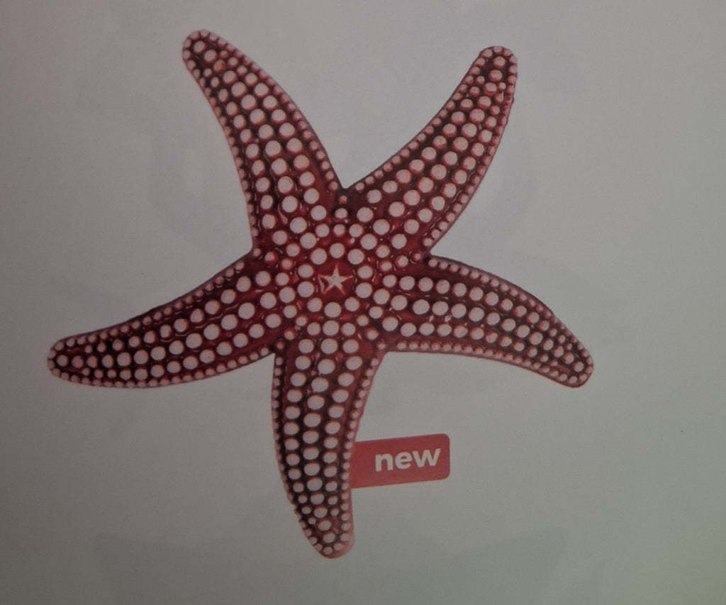 STELLA MARINA CORALLO CM.17 ANTICO MESTIERE GALESTRO