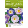 BELLA DI GIORNO IN MIX