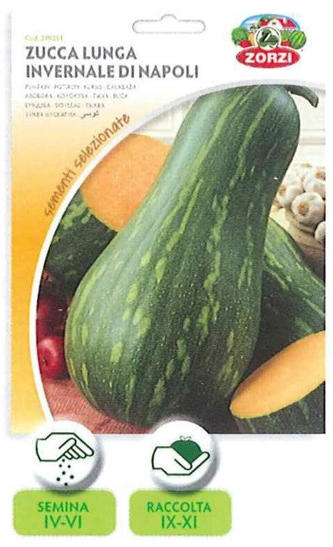 ZUCCA LUNGA INVERNALE DI NAPOLI ZORZI