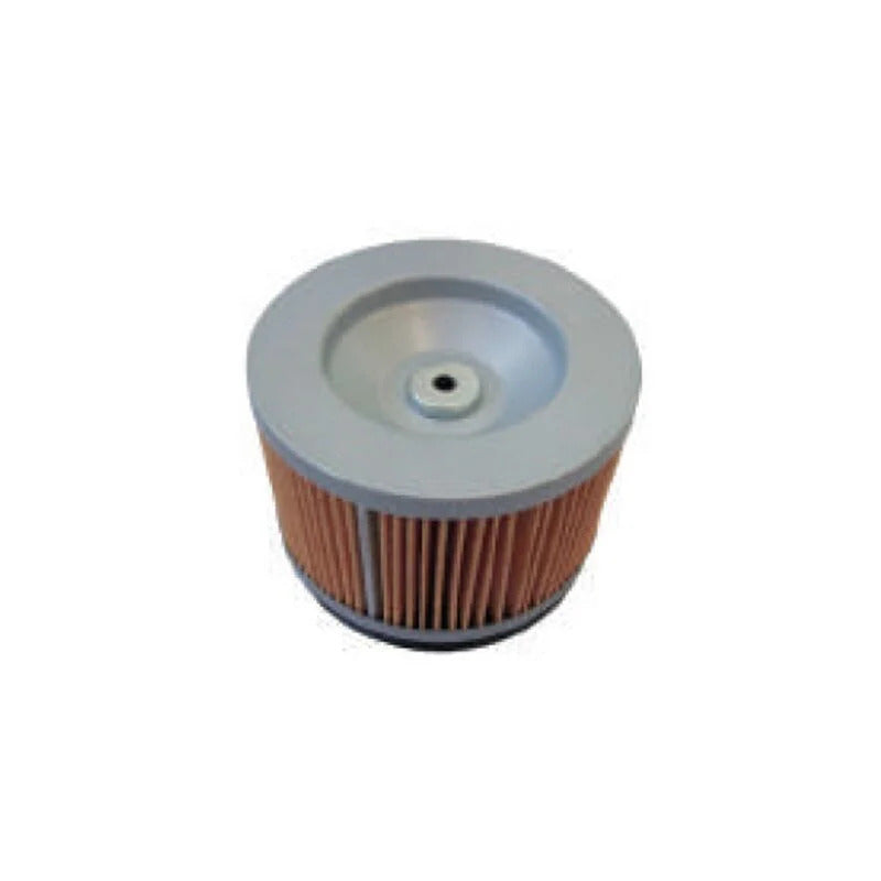 FILTRO ARIA MOTORE LOMBARDINI 15LD315