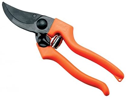 Forbici Patin cm.21 Ausonia