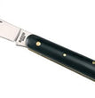 Coltello innesto Ausonia