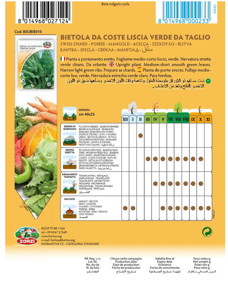 SEMI BIETOLA A COSTA LISCIA VERDE DA TAGLIO ZORZI