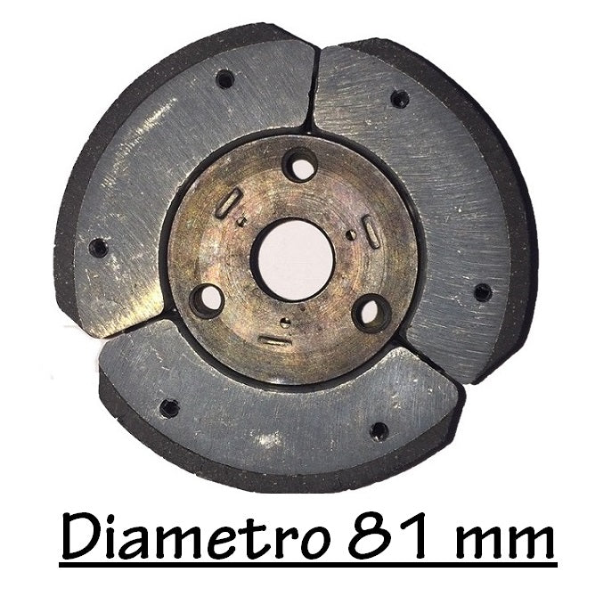 Frizione Benassi mm 81