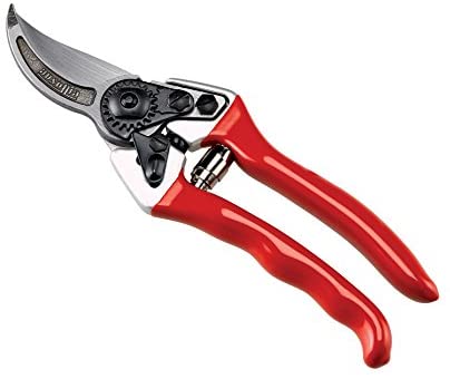 FORBICE VIGNA PROFESSIONALE CM.21 AUSONIA