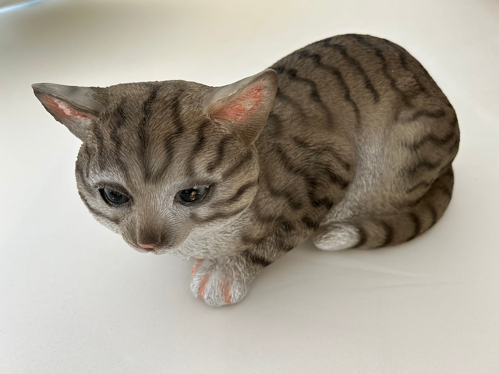 GATTO MARTINO CM.25 ANTICO MESTIERE