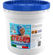 CLORO GRANULARE PER PISCINE STR60GR 5 KG CHEMICAL
