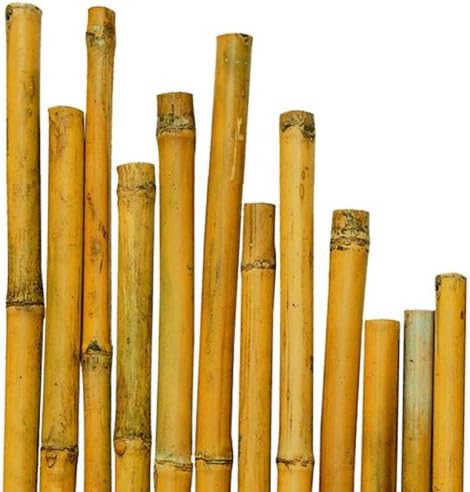 TUTORI SOSTEGNO PER PINATE CANNA BAMBU' DIAMETRO 26/28 MM H180 CM