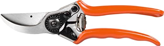 FORBICE PROFI BYPASS 21 CM LUNGHEZZA LAMA ACCIAIO CROMATO STOCKER