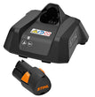 Rifinitore HSA26 con AS2/AL1 Stihl