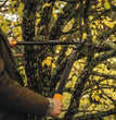 Troncarami lopper bypass l78 Fiskars