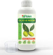 OLIO DI NEEM  DA 1 LITRO FITOKEM CON TAPPO DOSATORE