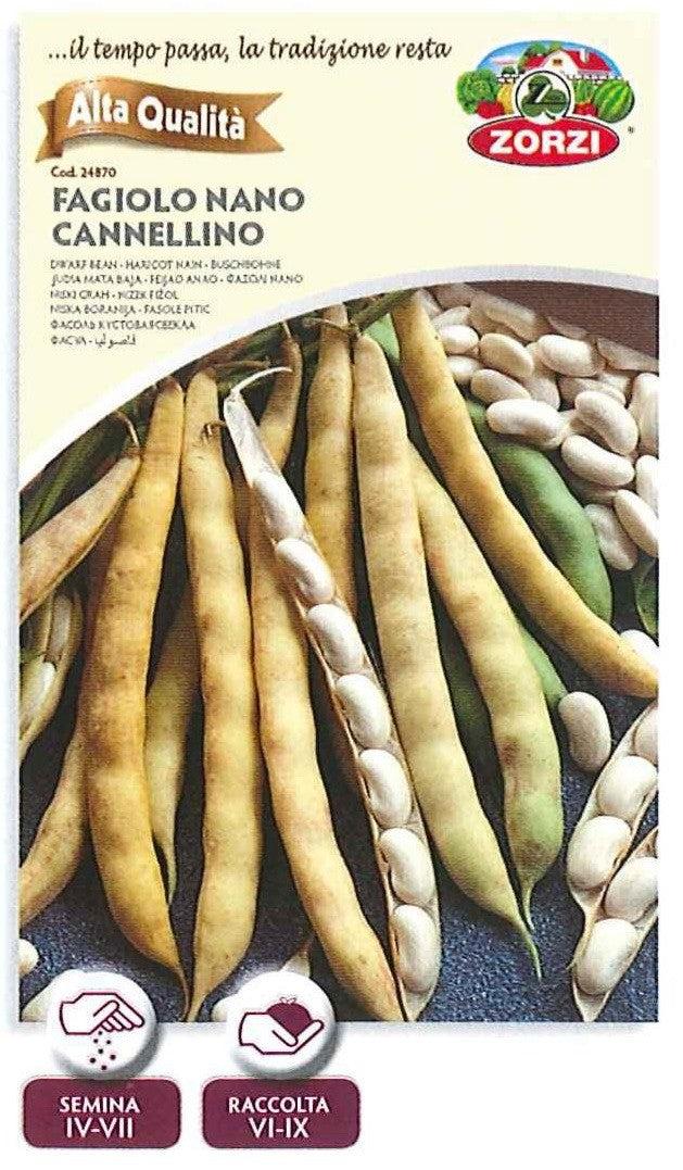 SEMI FAGIOLO NANO CANNELLINO DA 250 GR. ZORZI