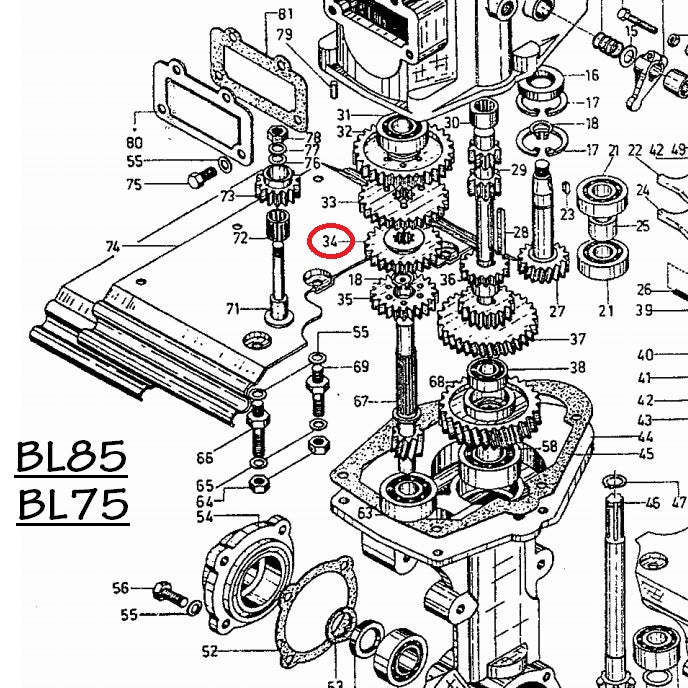 INGRANAGGIO SCORREVOLE 2ª VEL. Z31 - BL85/BL 75 BENASSI