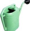 ANNAFFITOIO 6 LT.